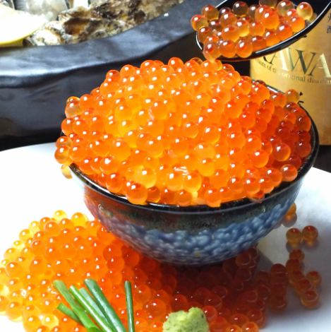 豪快!!いくらぶっかけ飯