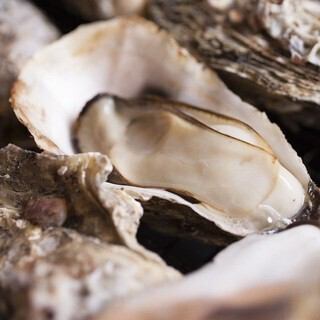 For 2 people or more [Limited to when you enter the restaurant between 16:00 and 20:00 all day!] ■All-you-can-eat grilled oysters for 100 minutes♪■ Feel free to bring your own condiments!