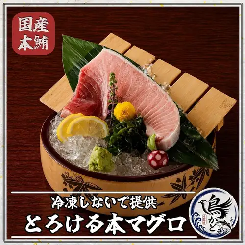 極上の脂がとろける!一度も冷凍しない生・国産本マグロ