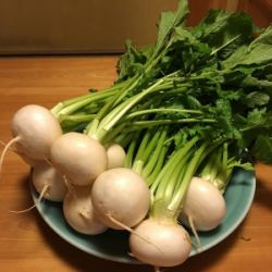 Stir-fried Kyoto turnip and lily root