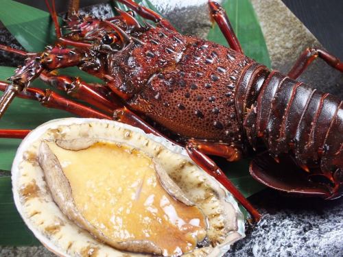 Sautéed spiny lobster, garlic sauce