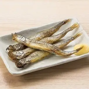 孩子们的狗屎