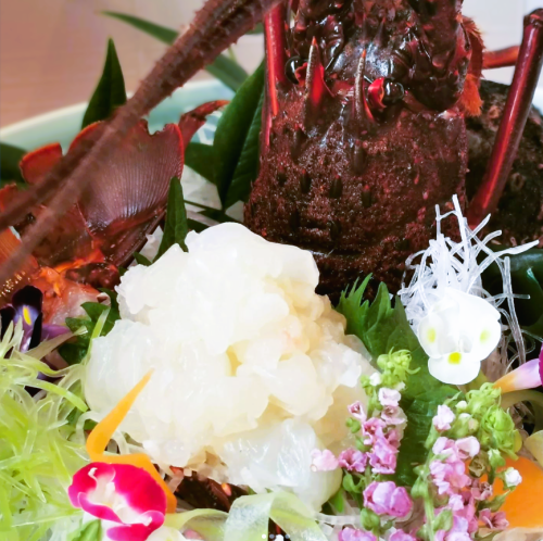 【三重県産 活伊勢海老】ご注文後を受けてから生簀よりご提供!