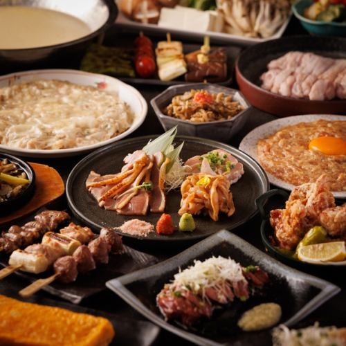 九州郷土料理を豊富に取り揃え!博多串焼きや熊本産馬刺しに薩摩地鶏など、新橋で九州を食すなら当店へ!