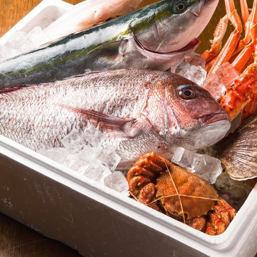 【三崎銚子漁港直送】鮮度抜群のお刺身は絶品！