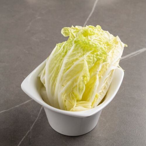배추