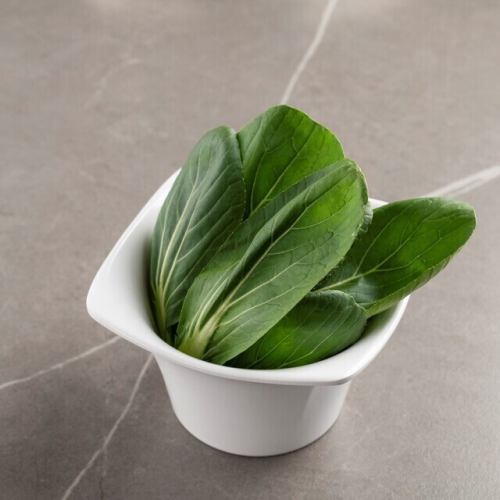칭겐 유채
