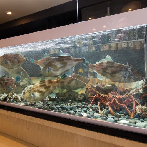 全国各地の漁港から届く、新鮮魚介！