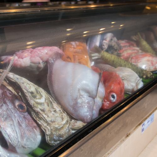 旬を映すネタケースの舞台