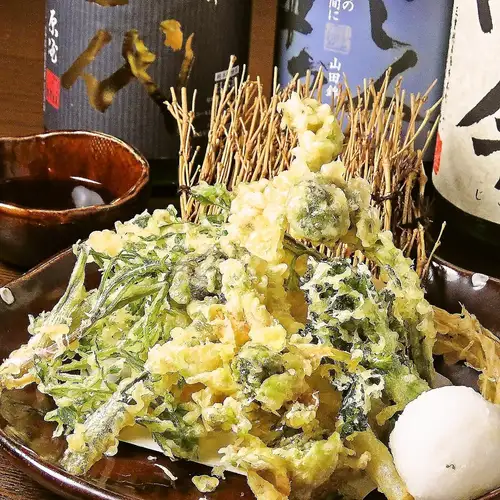 地野菜の天ぷら/竹輪の磯辺揚/南蛮風タルタル鶏天/ササミの梅しそ天ぷら/さきイカの天ぷら 各