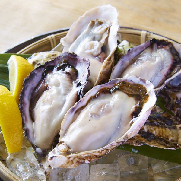 まるで牡蠣小屋!1個99円の生牡蠣や名物牡蠣料理が勢ぞろい!