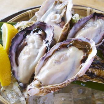 【単飲み×牡蠣盛りサービス】生ビール付き[2時間]単品飲み放題+生牡蠣盛り合わせ2500円→1200円