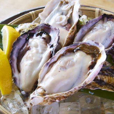 【単飲み×牡蠣盛りサービス】生ビール付き[2時間]単品飲み放題+生牡蠣盛り合わせ2500円→1200円