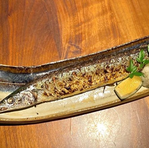 Grilled salted saury