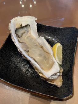 おすすめ【個数限定】特大真牡蠣!大船渡産「柔」