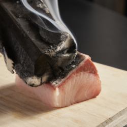 greater amberjack