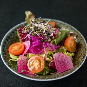 彩り野菜のサラダ