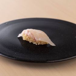 野生鯛魚