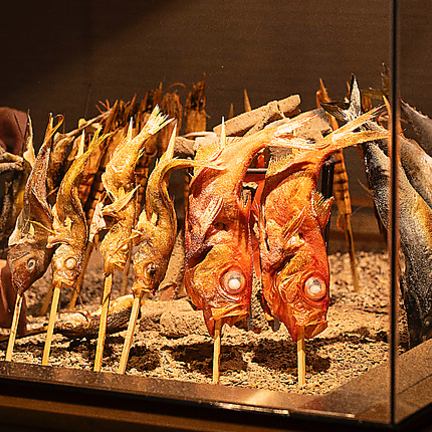 【Hot Pepper限定】能登前寿司から原始焼きなどが入った全7品 5000円コース