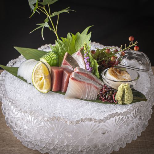 鮮度を極めた一皿に感動!