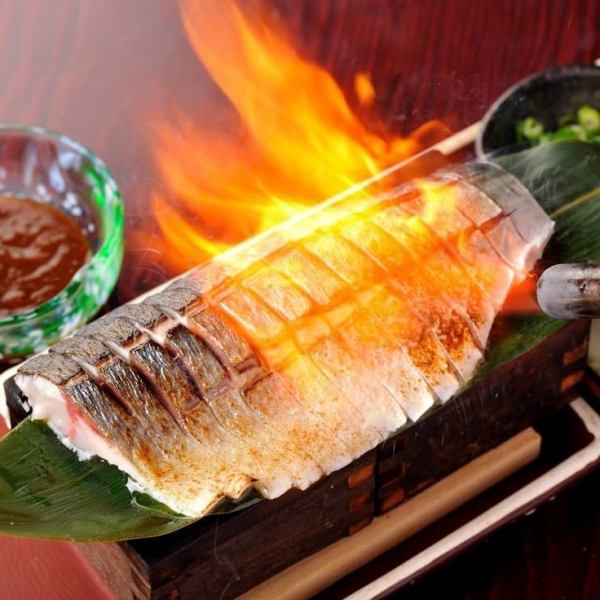 金華鯖の炙り〆鯖刺し