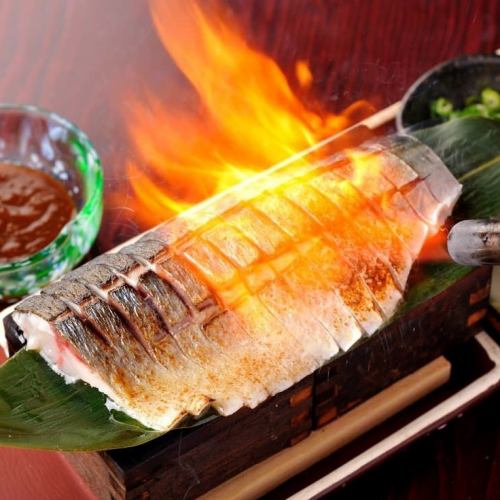 Seared and marinated mackerel sashimi from Kinka mackerel