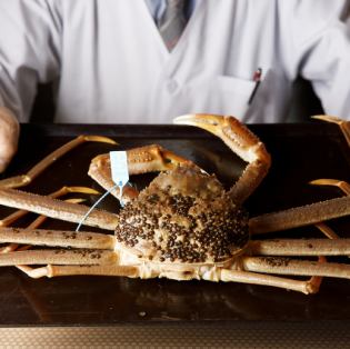 地物・加能蟹【11月7日～3月20日】