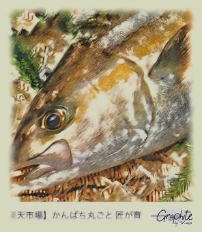 Cold yellowtail sashimi