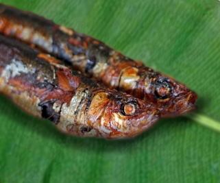 Tinapang Galungong (smoked sardines)