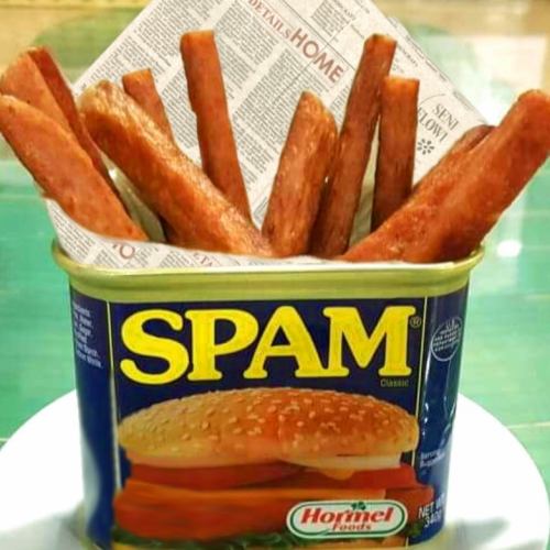 spam fly