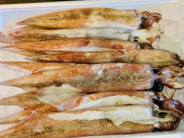 小樽から美味しいお魚