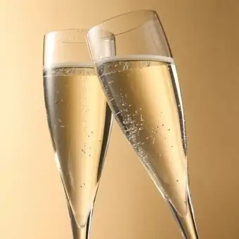 【誕生日・記念日】乾杯スパークリング付き カジュアルディナーコース 全4品