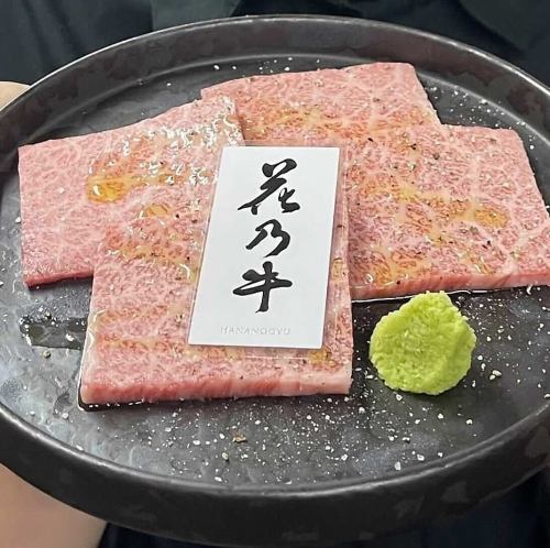 花乃牛　ザブトン