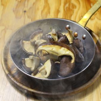 Bungo Raw Shiitake Mushroom Steak