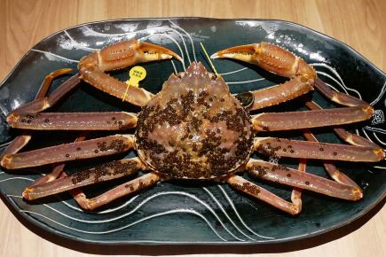 【활】에치젠 게“대” 풀 코스 (매입 가격에 의해 금액이 변동이 있습니다)