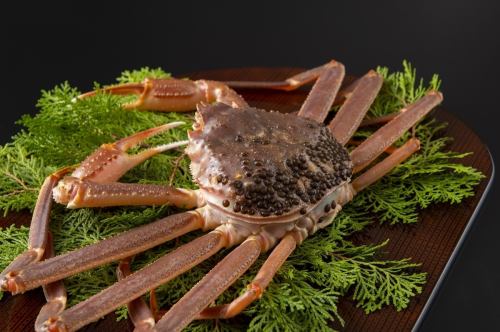 【제철의 에치젠 게를 한 사람 한잔 사용!】 【활】에치젠 게와 풀 코스 44000엔(세금 포함) ※매입 가격에 의해 변동 있음