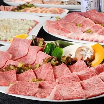 【宴會 x 奢華】盡情享用稀有肉類◎ “頂級珍稀肉類烤肉套餐” 共13道菜 5,500日元