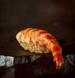 Tiger prawn