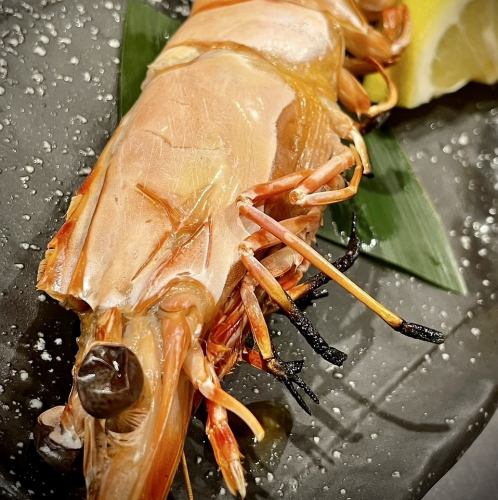 天然大海老シーエンジェル