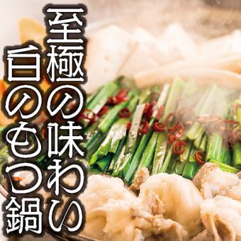 ◆日～木曜日限定 名物白のもつ鍋コース◆ 料理7品生ビール付50種飲み放題4000円