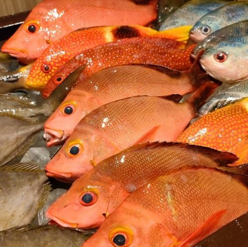 Inexpensive fish dishes delivered directly from the catch