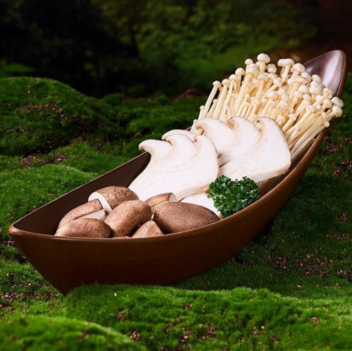 キノコ盛り合わせ