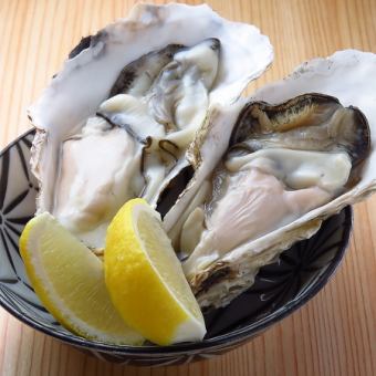 [Monday-Friday Only! Early Bird Discount! All-You-Can-Eat Selected Raw Oysters] Limited to entry before 5 PM! All-you-can-eat raw oysters!