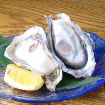 瀬戸内≪生≫牡蠣