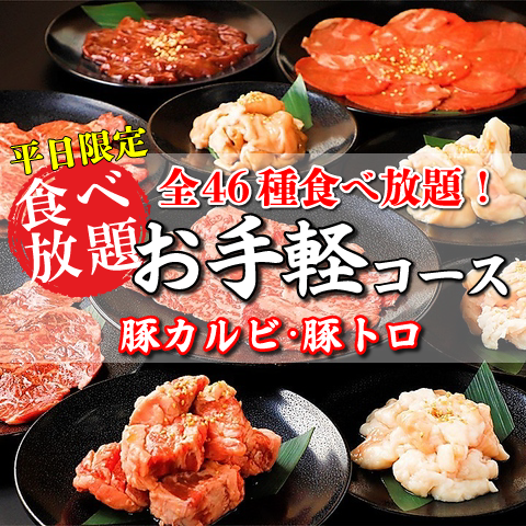 全46種が食べ放題！話題沸騰のお得な焼肉食べ放題プラン1980円～