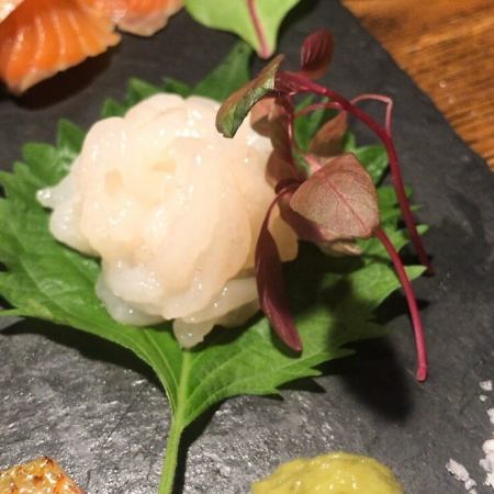 Toyama jewel white shrimp sashimi