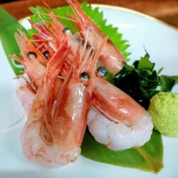 甜蝦刺身