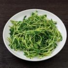 Stir-fried pea sprouts
