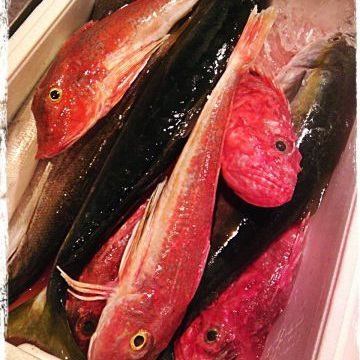 豪華！お刺身盛り合わせ◎