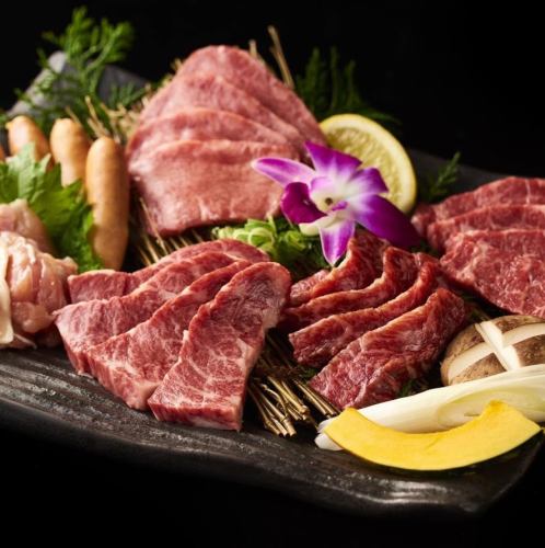Tamuken recommended meat platter